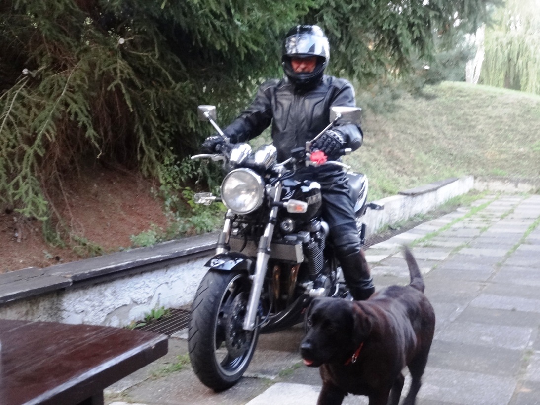 13_Black rider